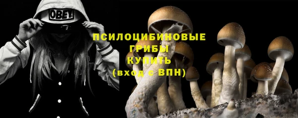 индика Алзамай