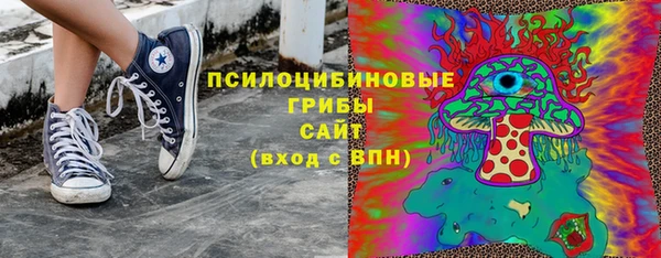 спайс Абаза