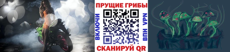 Псилоцибиновые грибы MAGIC MUSHROOMS  Нальчик 