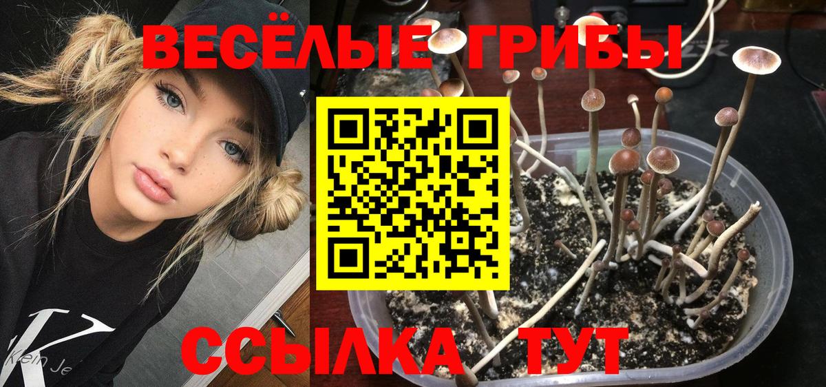 Псилоцибиновые грибы Magic Shrooms Нальчик