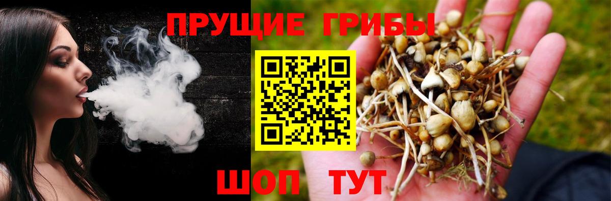 как найти   Галлюциногенные грибы MAGIC MUSHROOMS  Нальчик  Вход с VPN  Галлюциногенные грибы MAGIC MUSHROOMS 